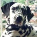siguiente
