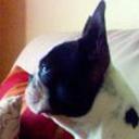 siguiente