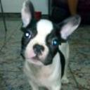 siguiente