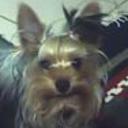Winnie