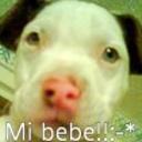 siguiente