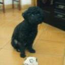 siguiente