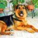 Ramon