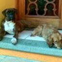 siguiente