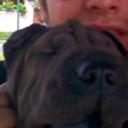 siguiente