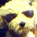 anterior