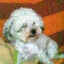 siguiente