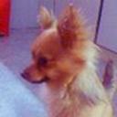 siguiente