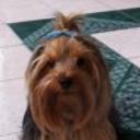 Maky