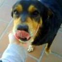 siguiente