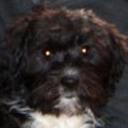 Thelma