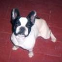 siguiente