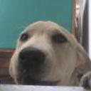 siguiente