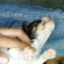 siguiente
