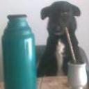 siguiente