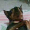 siguiente