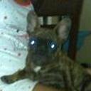 siguiente