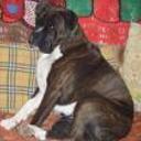 Wanda