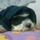 siguiente