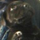 anterior