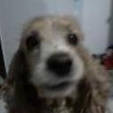 siguiente