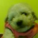 siguiente