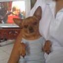 siguiente