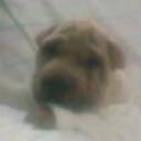 siguiente