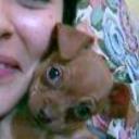 siguiente