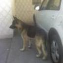 siguiente