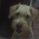 siguiente