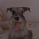 siguiente