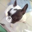 siguiente