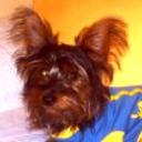 siguiente