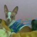 siguiente