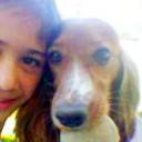 siguiente