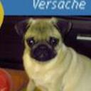 siguiente