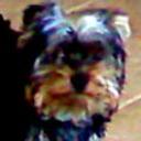 Charlie