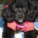 Wanda