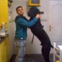 siguiente