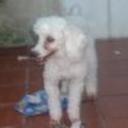 siguiente