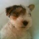 Almendra