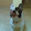 siguiente