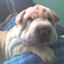 Lola