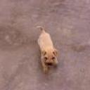 Roky