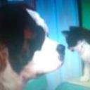 siguiente