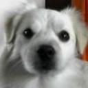 Whity