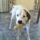 siguiente