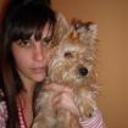 siguiente
