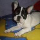 siguiente